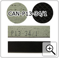 CAN-P13-34/1