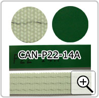 CAN-P22-14A