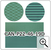 CAN-P22-46-19D