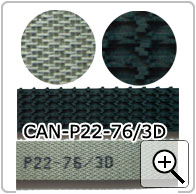 CAN-P22-76/3D