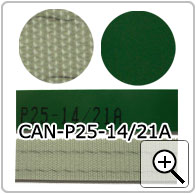 CAN-P25-14/21A