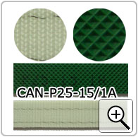 CAN-P25-15/1A