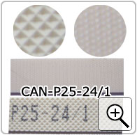 CAN-P25-24/1
