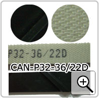 CAN-P32-36/22D