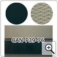 CAN-P39-76
