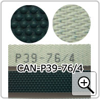 CAN-P39-76/4