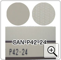 CAN-P42-24